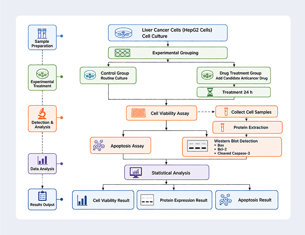 Experimental workflow